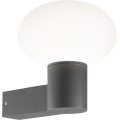 Ideal Lux - Außenwandleuchte CLIO 1xE27/42W/230V IP44 anthrazit